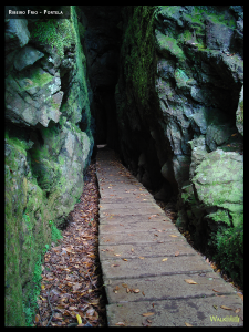 Ribeiro Frio - Portela. Photo of tunnel
